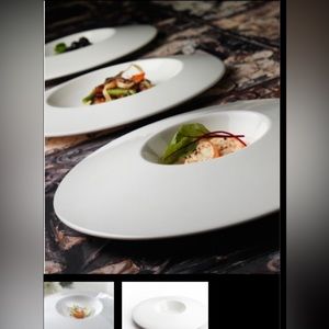 Steelite Distinction Commercial  Plates One 12" Small Well Bowl Each Pl…